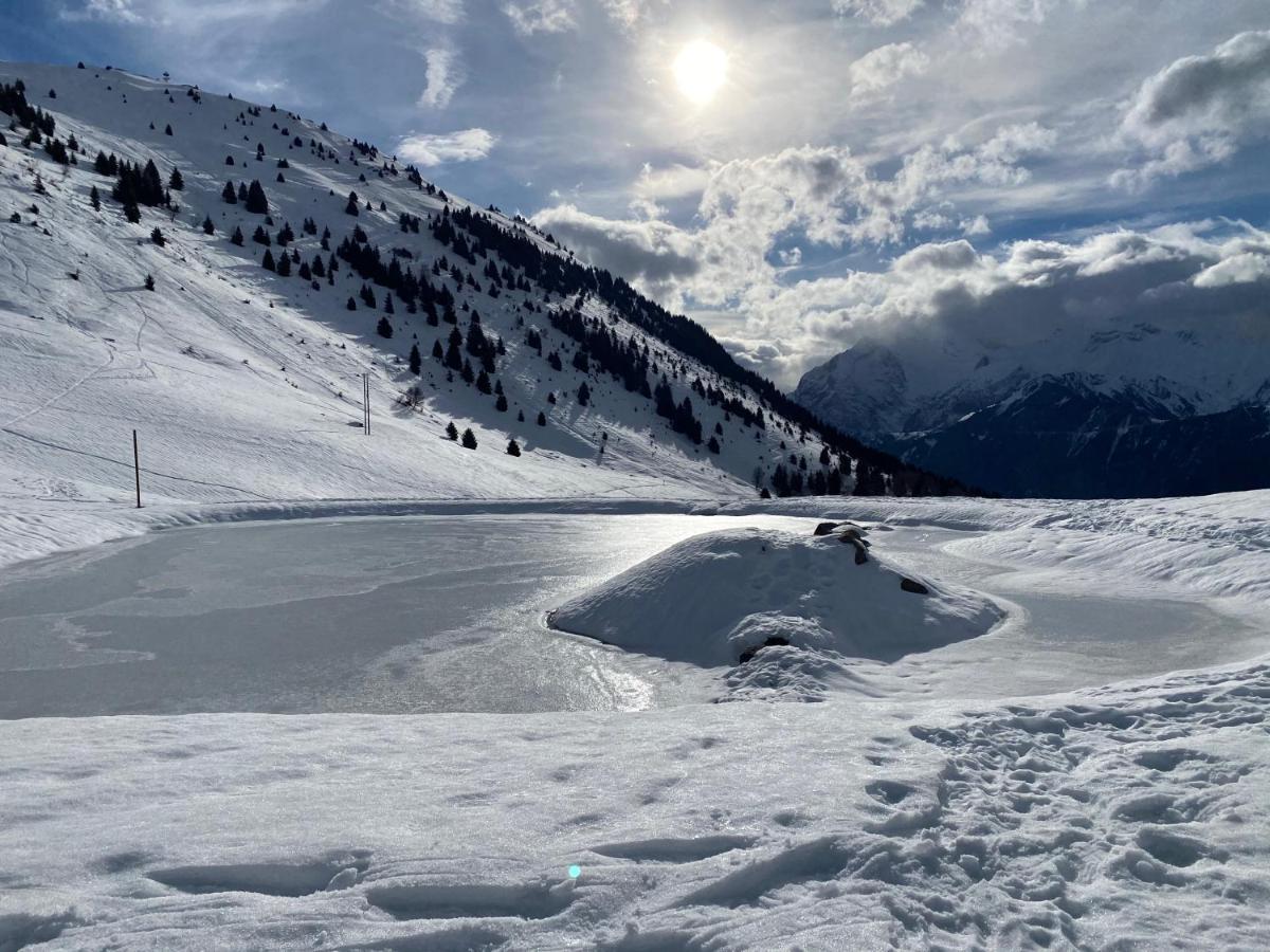 Chalet Le Montana Villard-Reculas المظهر الخارجي الصورة